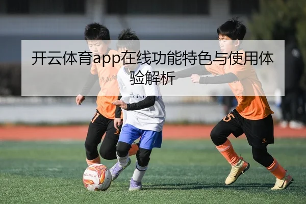 开云体育app在线功能特色与使用体验解析