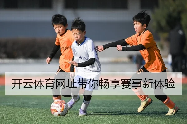 开云体育网址带你畅享赛事新体验